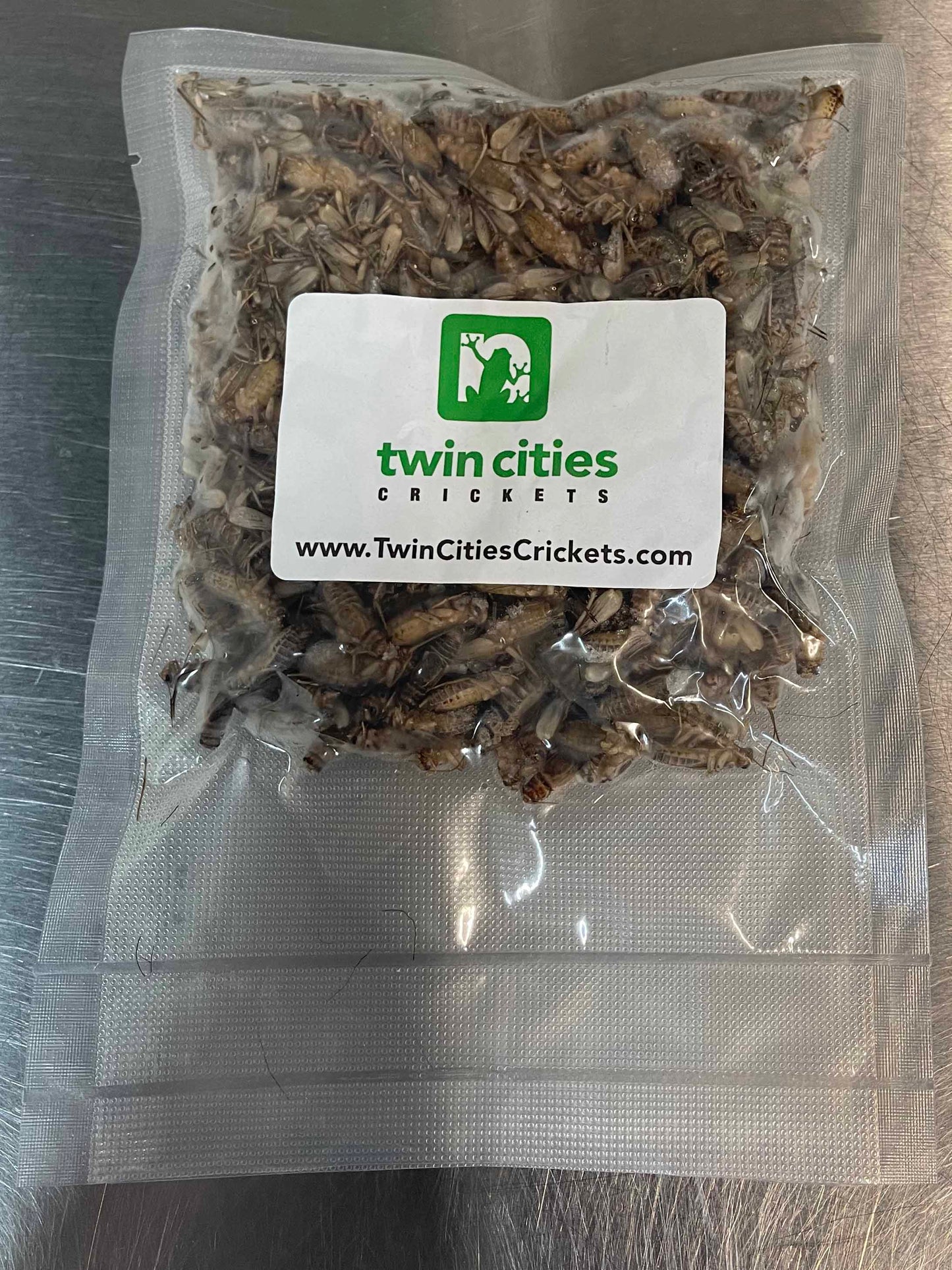 Frozen Banded Crickets