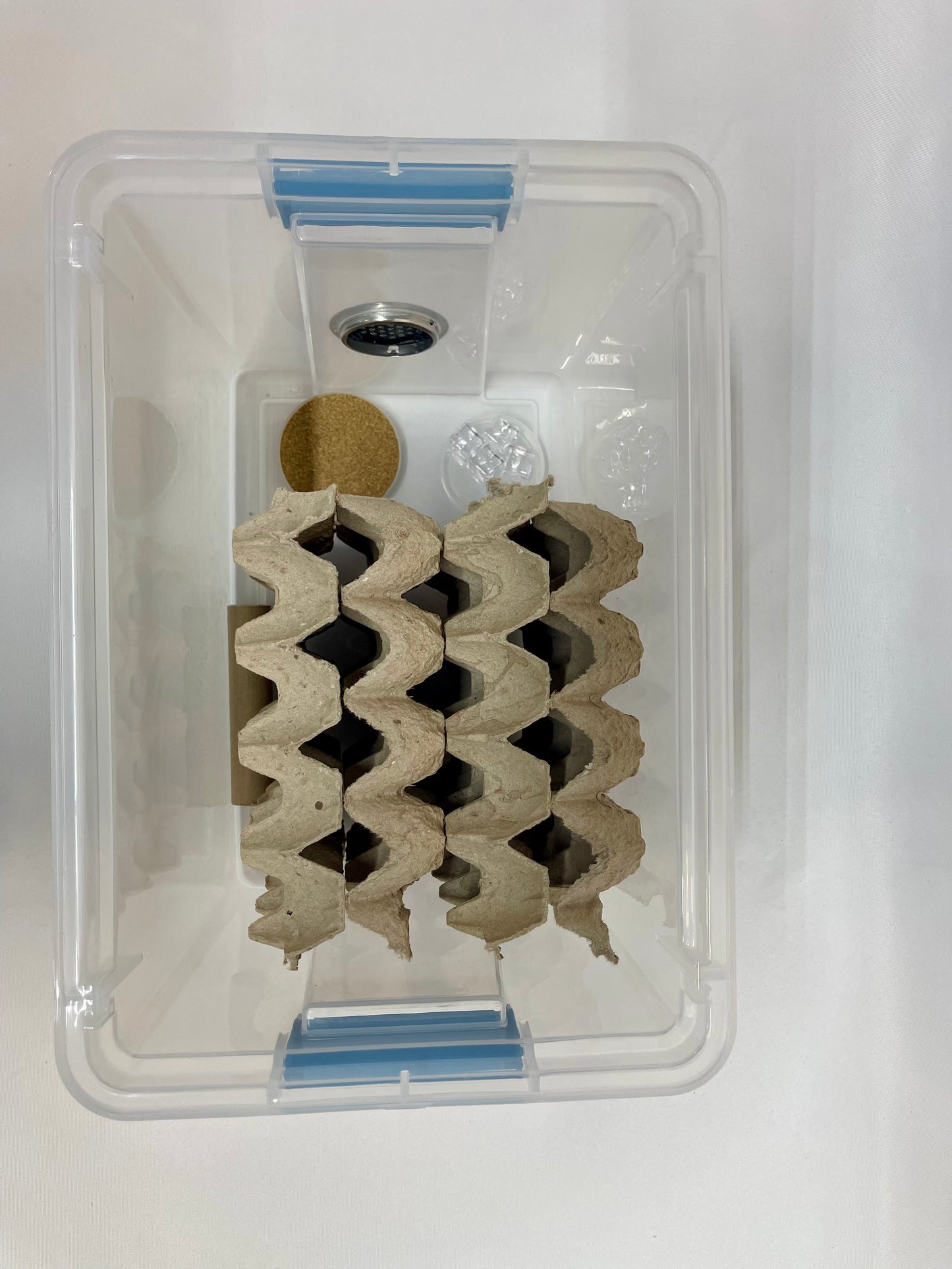 Small Complete Cricket Cage System