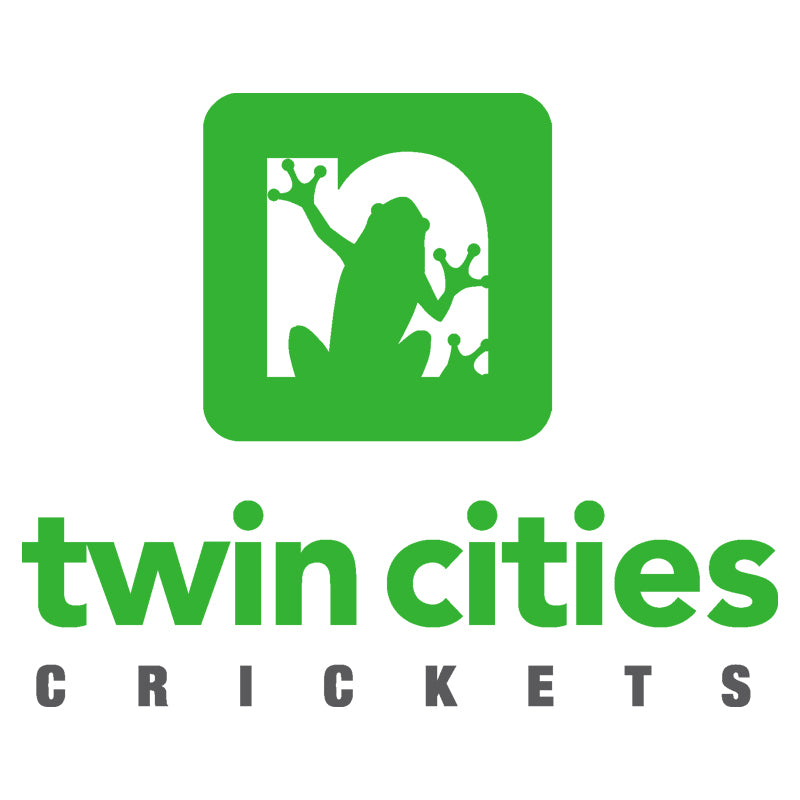 Banded Crickets