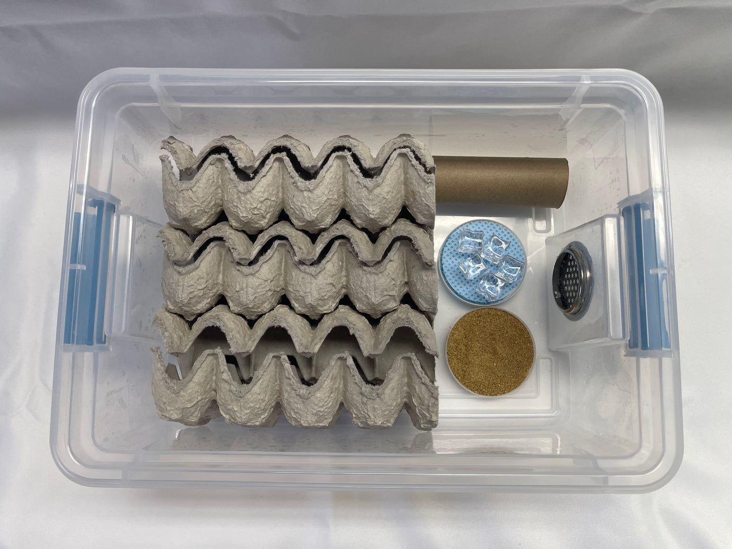 Mini Complete Cricket Cage System