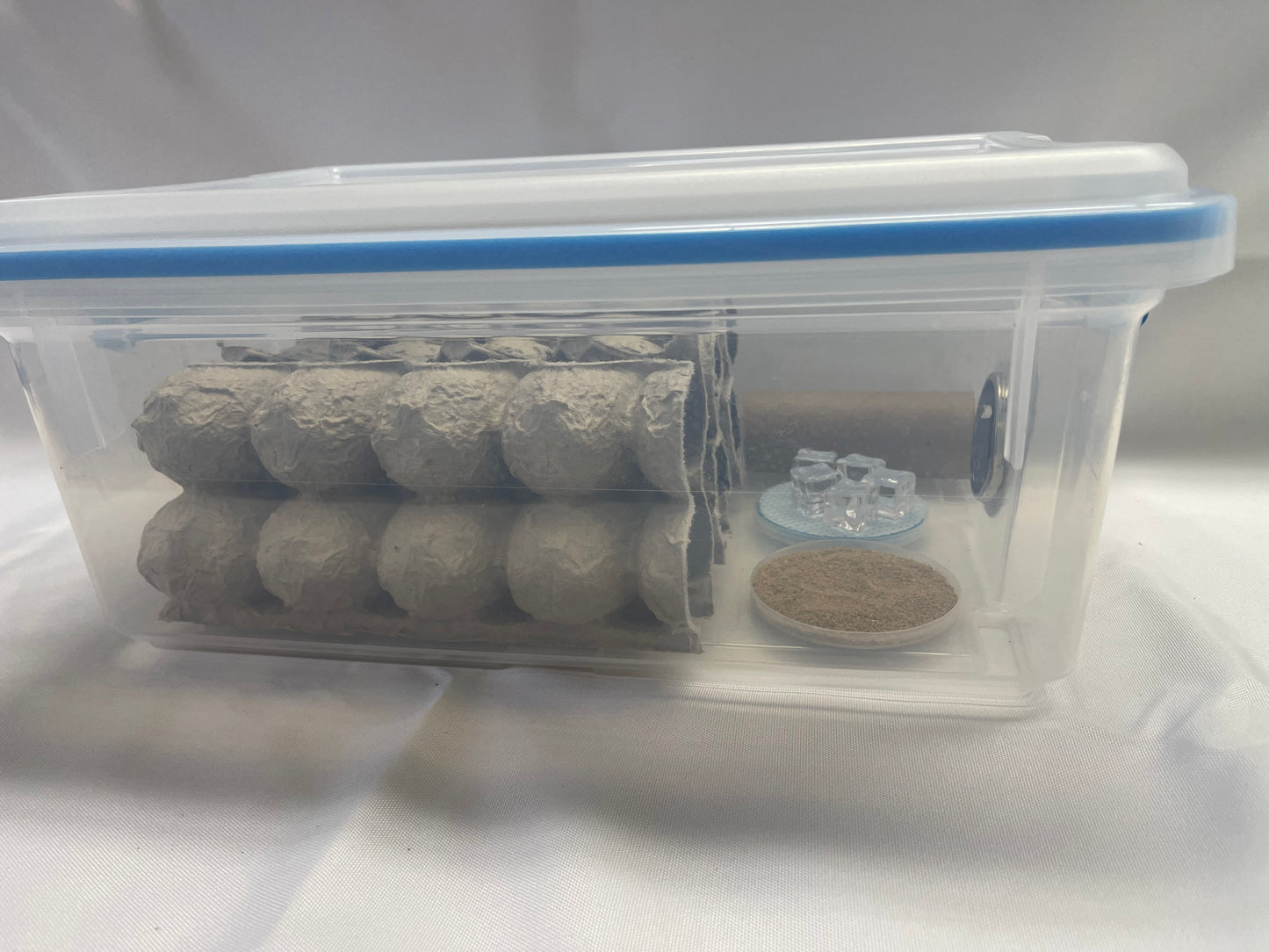 Mini Complete Cricket Cage System