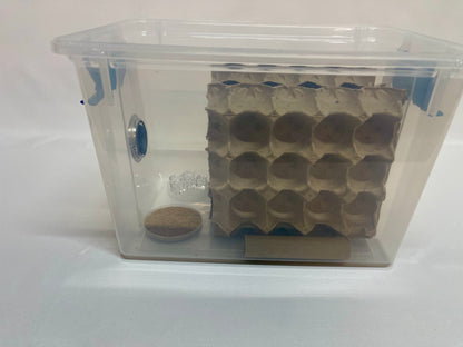 Small Complete Cricket Cage System